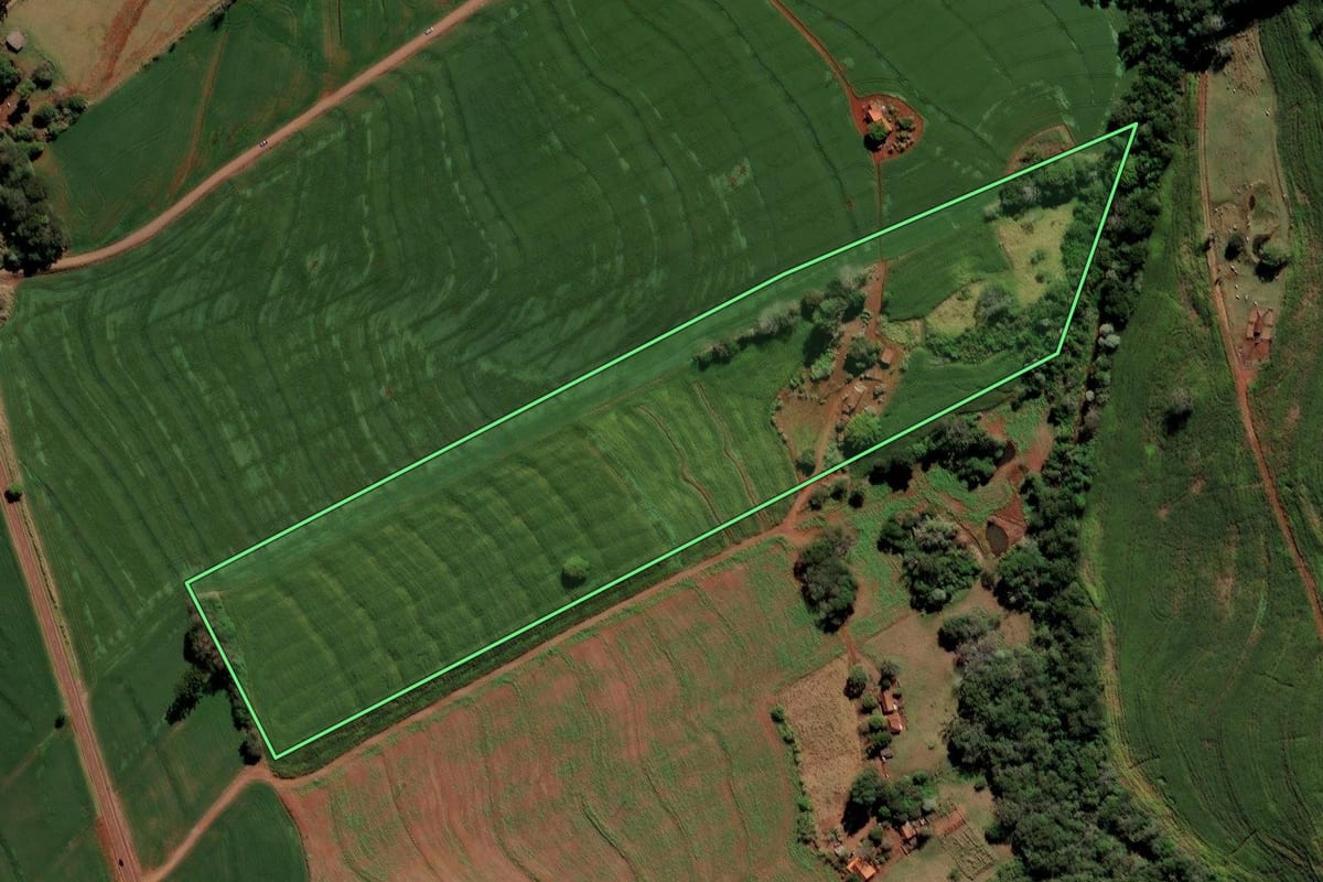 Imagem de satélite do imóvel rural em Borrazópolis (PR), com o contorno declarado no CAR desenhado por cima.