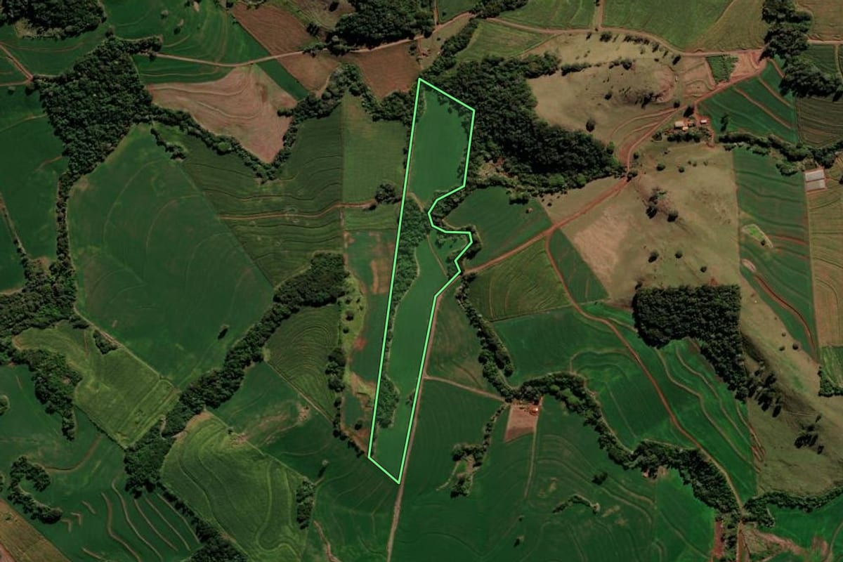 Imagem de satélite do imóvel rural em Borrazópolis (PR), com o contorno declarado no CAR desenhado por cima.