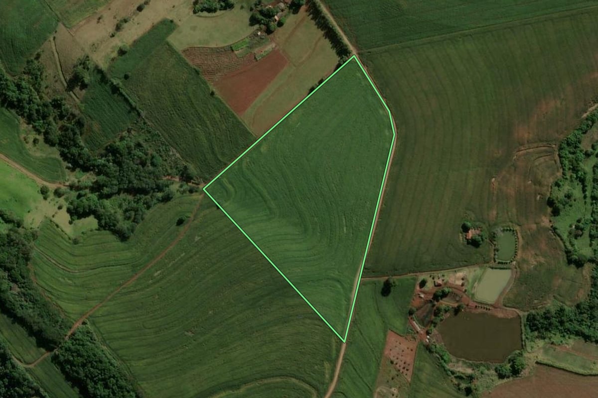 Imagem de satélite do imóvel rural em Borrazópolis (PR), com o contorno declarado no CAR desenhado por cima.