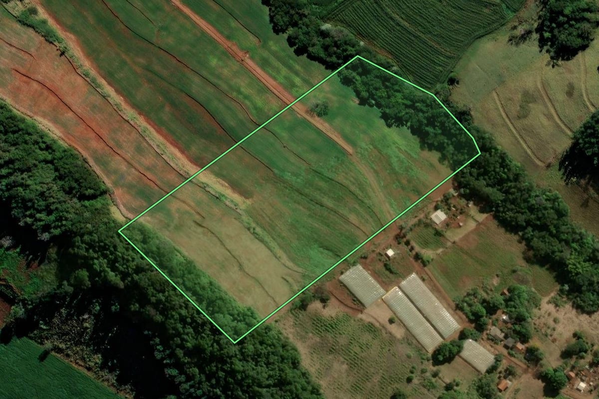 Imagem de satélite do imóvel rural em Borrazópolis (PR), com o contorno declarado no CAR desenhado por cima.