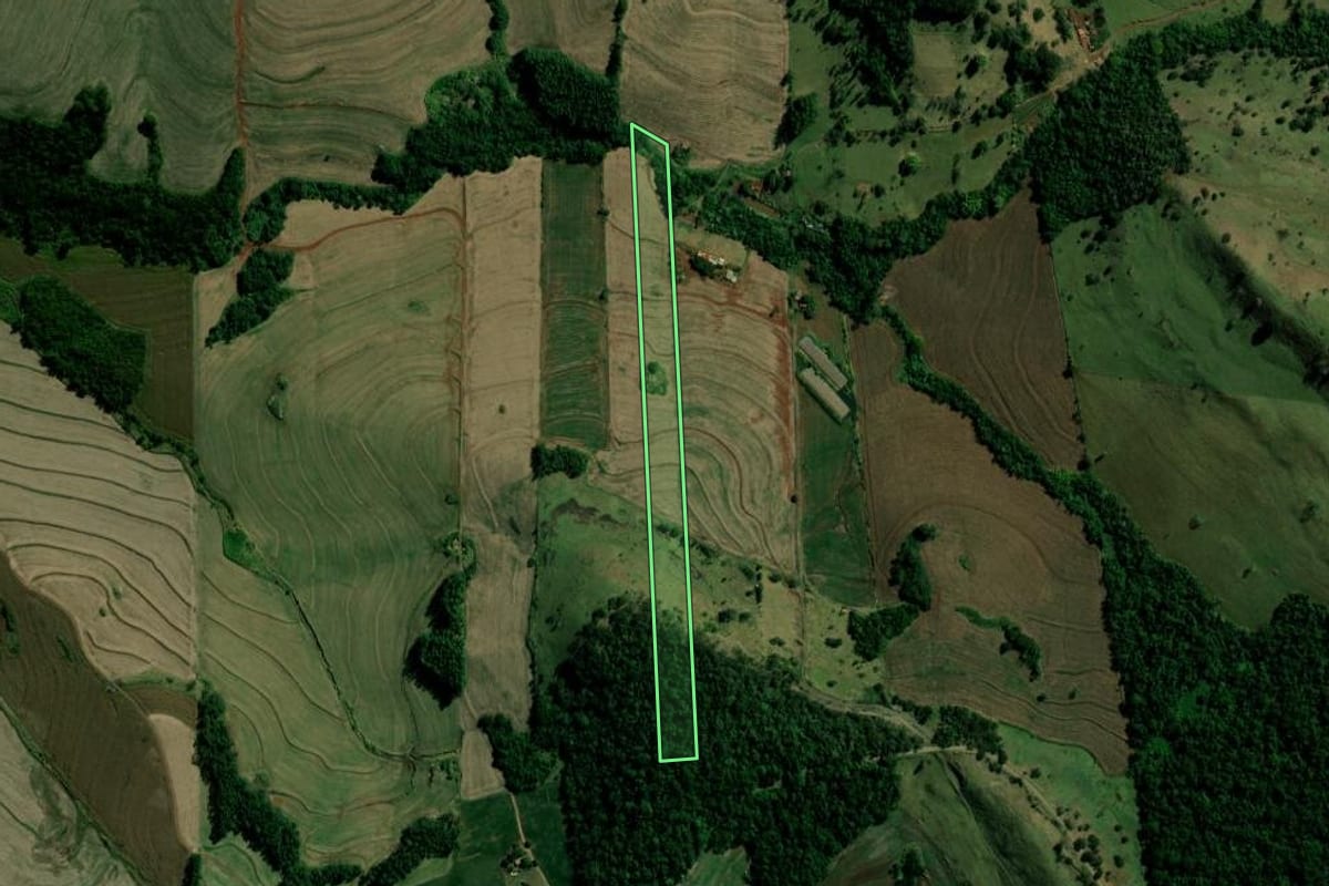 Imagem de satélite do imóvel rural em Borrazópolis (PR), com o contorno declarado no CAR desenhado por cima.