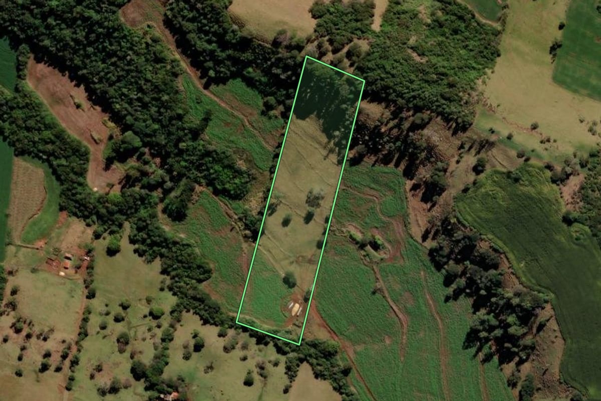 Imagem de satélite do imóvel rural em Borrazópolis (PR), com o contorno declarado no CAR desenhado por cima.