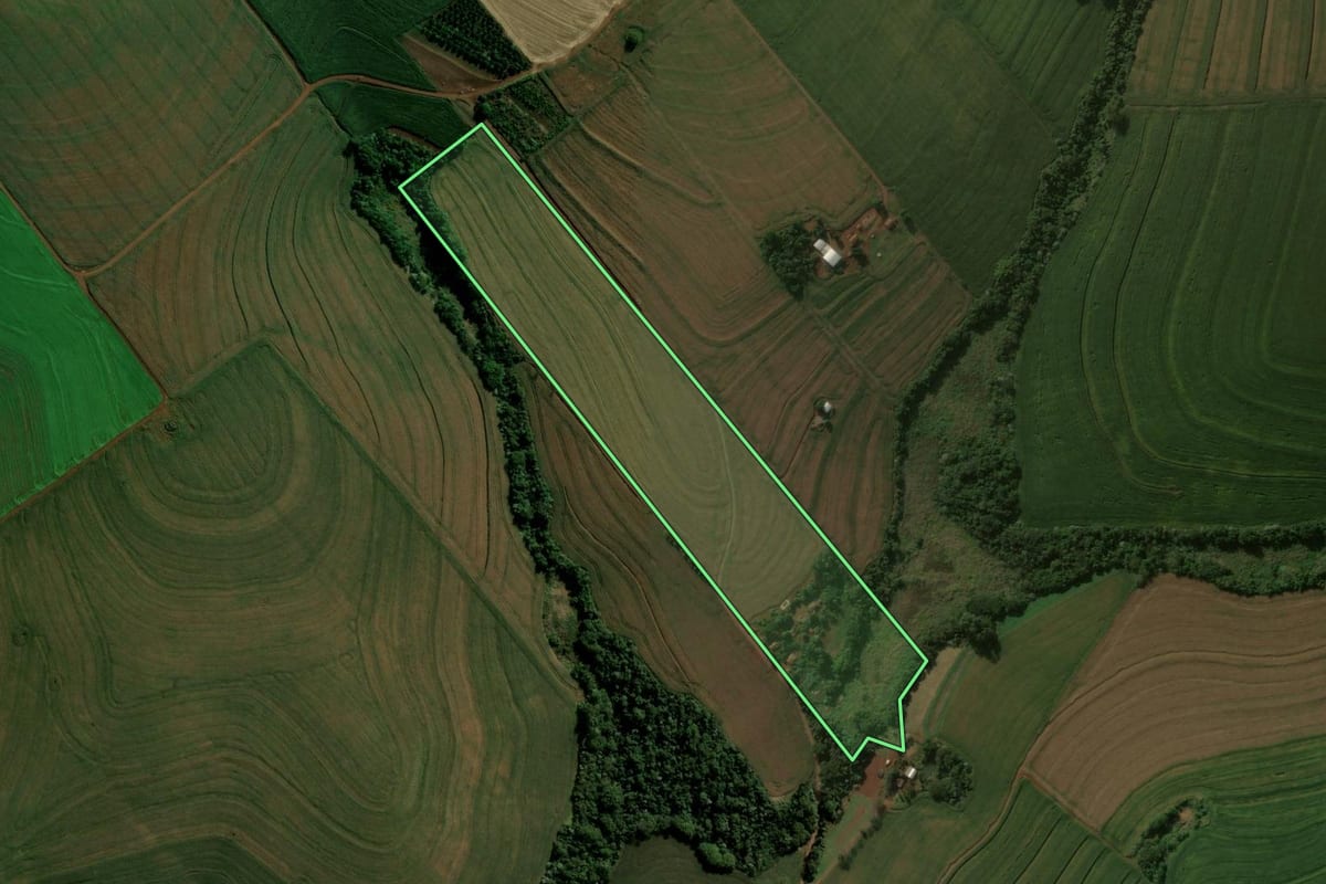 Imagem de satélite do imóvel rural em Borrazópolis (PR), com o contorno declarado no CAR desenhado por cima.