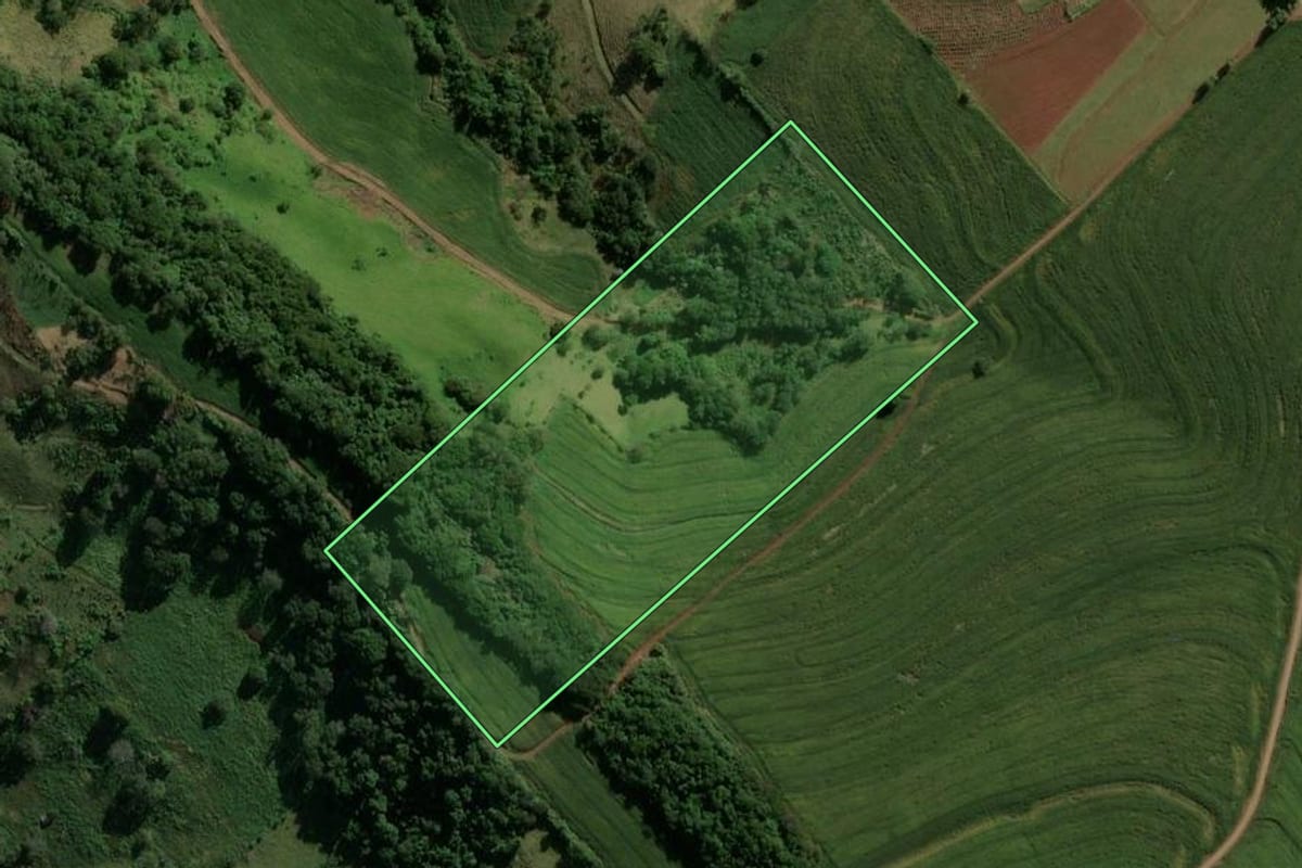Imagem de satélite do imóvel rural em Borrazópolis (PR), com o contorno declarado no CAR desenhado por cima.