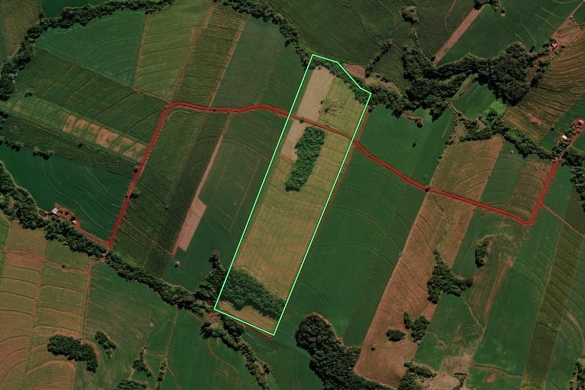 Imagem de satélite do imóvel rural em Borrazópolis (PR), com o contorno declarado no CAR desenhado por cima.