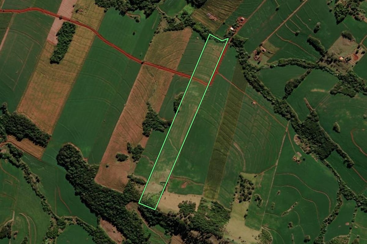 Imagem de satélite do imóvel rural em Borrazópolis (PR), com o contorno declarado no CAR desenhado por cima.