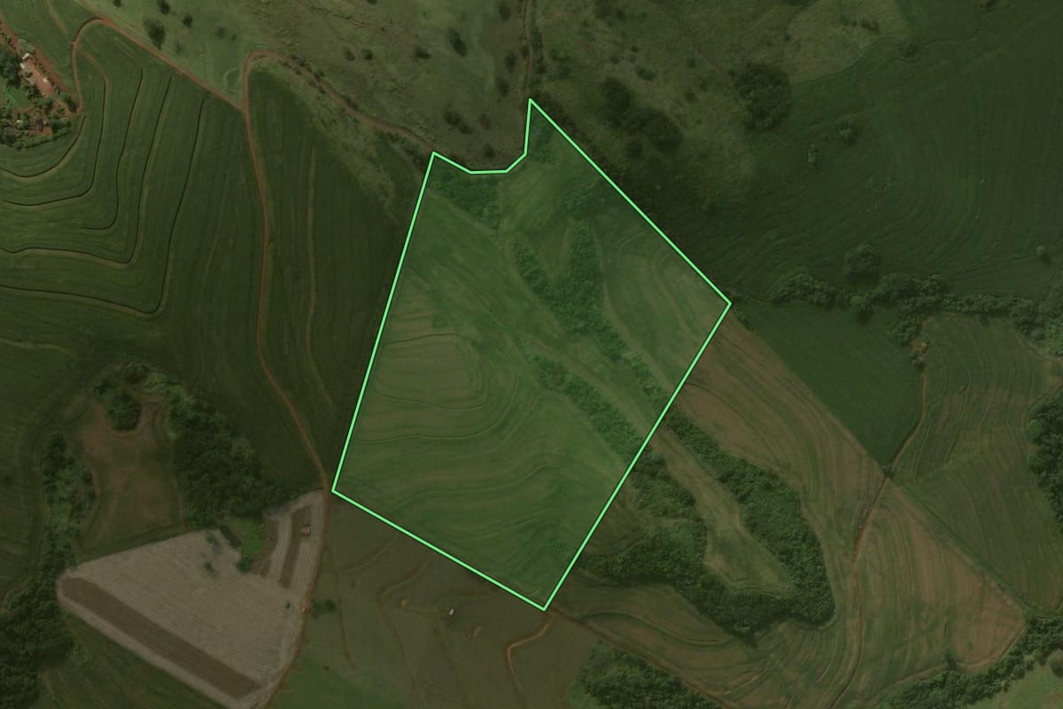 Imagem de satélite do imóvel rural em Borrazópolis (PR), com o contorno declarado no CAR desenhado por cima.