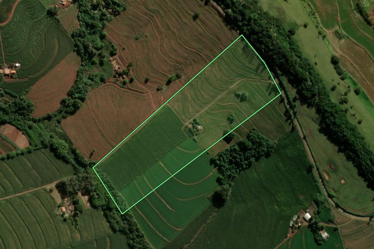Imagem de satélite do imóvel rural em Borrazópolis (PR), com o contorno declarado no CAR desenhado por cima.