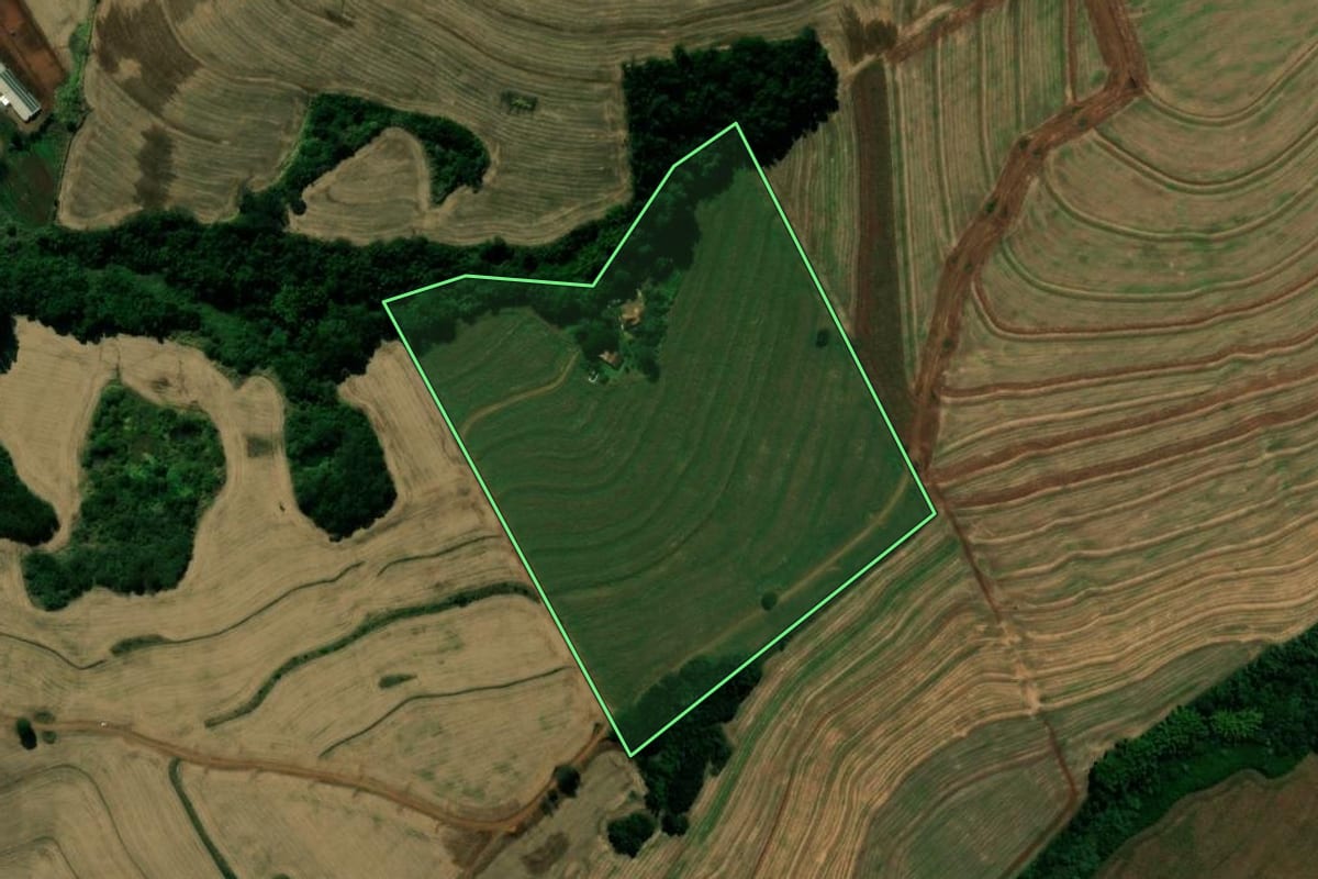 Imagem de satélite do imóvel rural em Borrazópolis (PR), com o contorno declarado no CAR desenhado por cima.