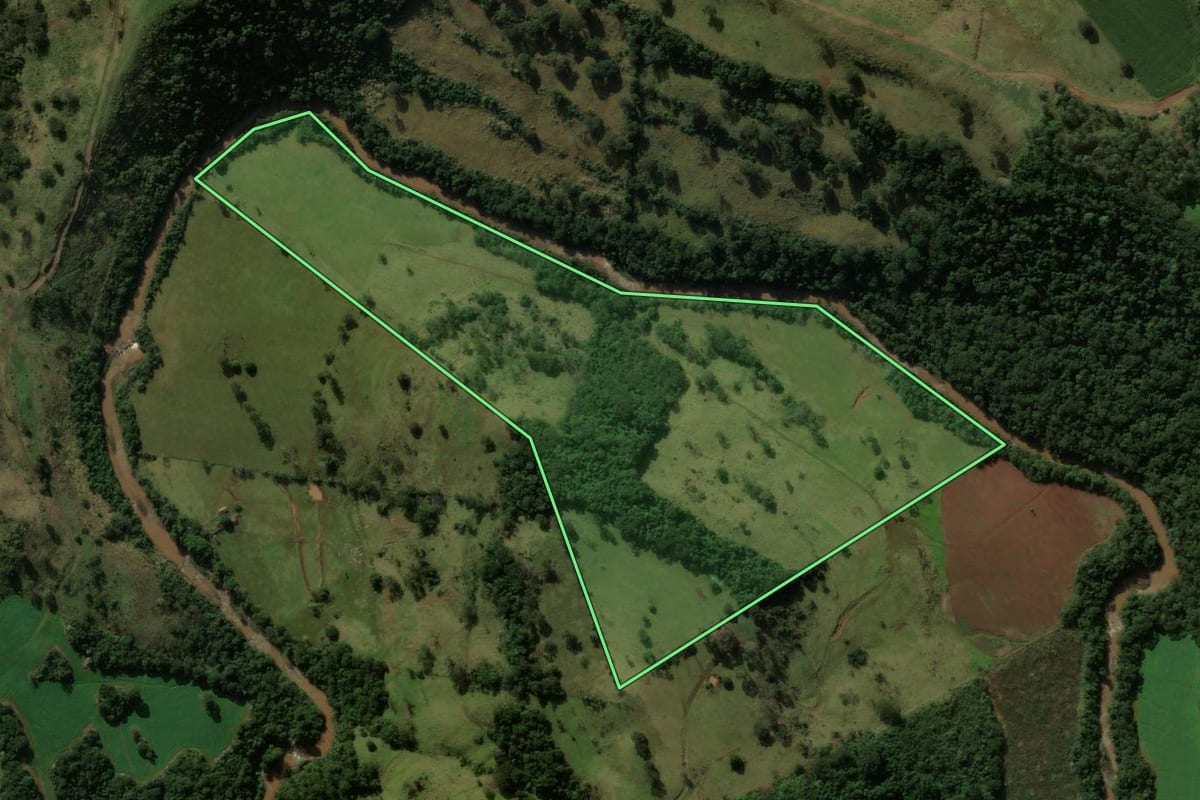 Imagem de satélite do imóvel rural em Borrazópolis (PR), com o contorno declarado no CAR desenhado por cima.
