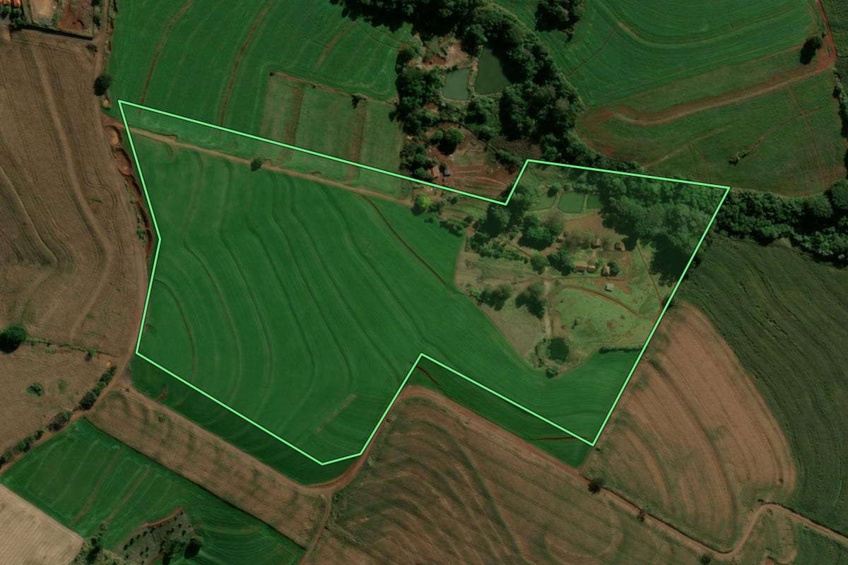 Imagem de satélite do imóvel rural em Borrazópolis (PR), com o contorno declarado no CAR desenhado por cima.