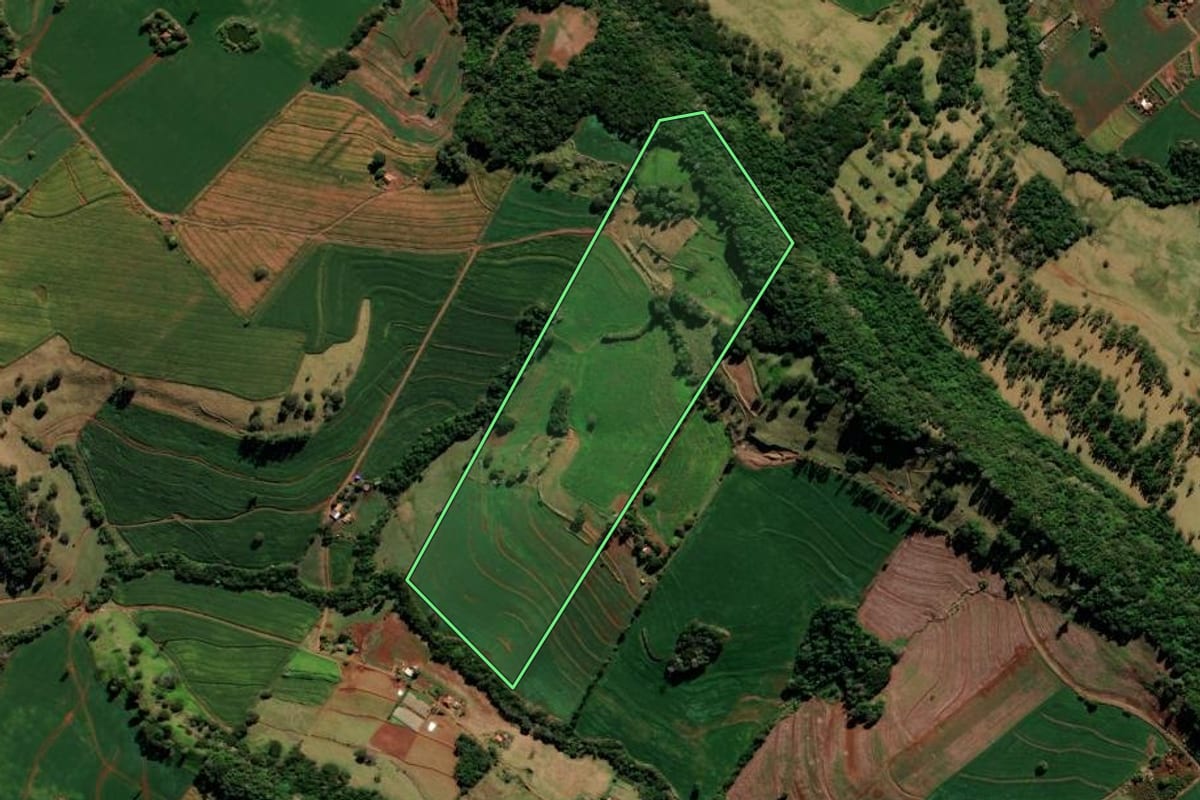 Imagem de satélite do imóvel rural em Borrazópolis (PR), com o contorno declarado no CAR desenhado por cima.