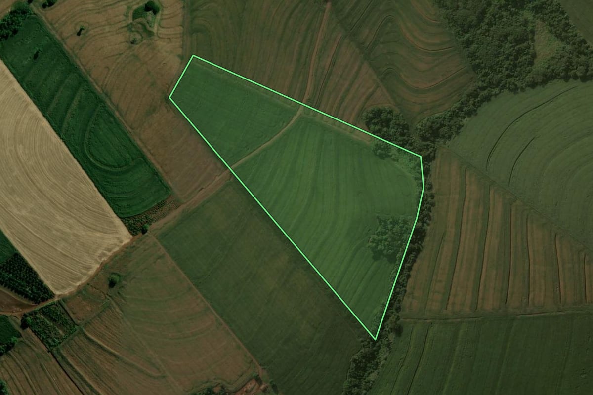 Imagem de satélite do imóvel rural em Borrazópolis (PR), com o contorno declarado no CAR desenhado por cima.