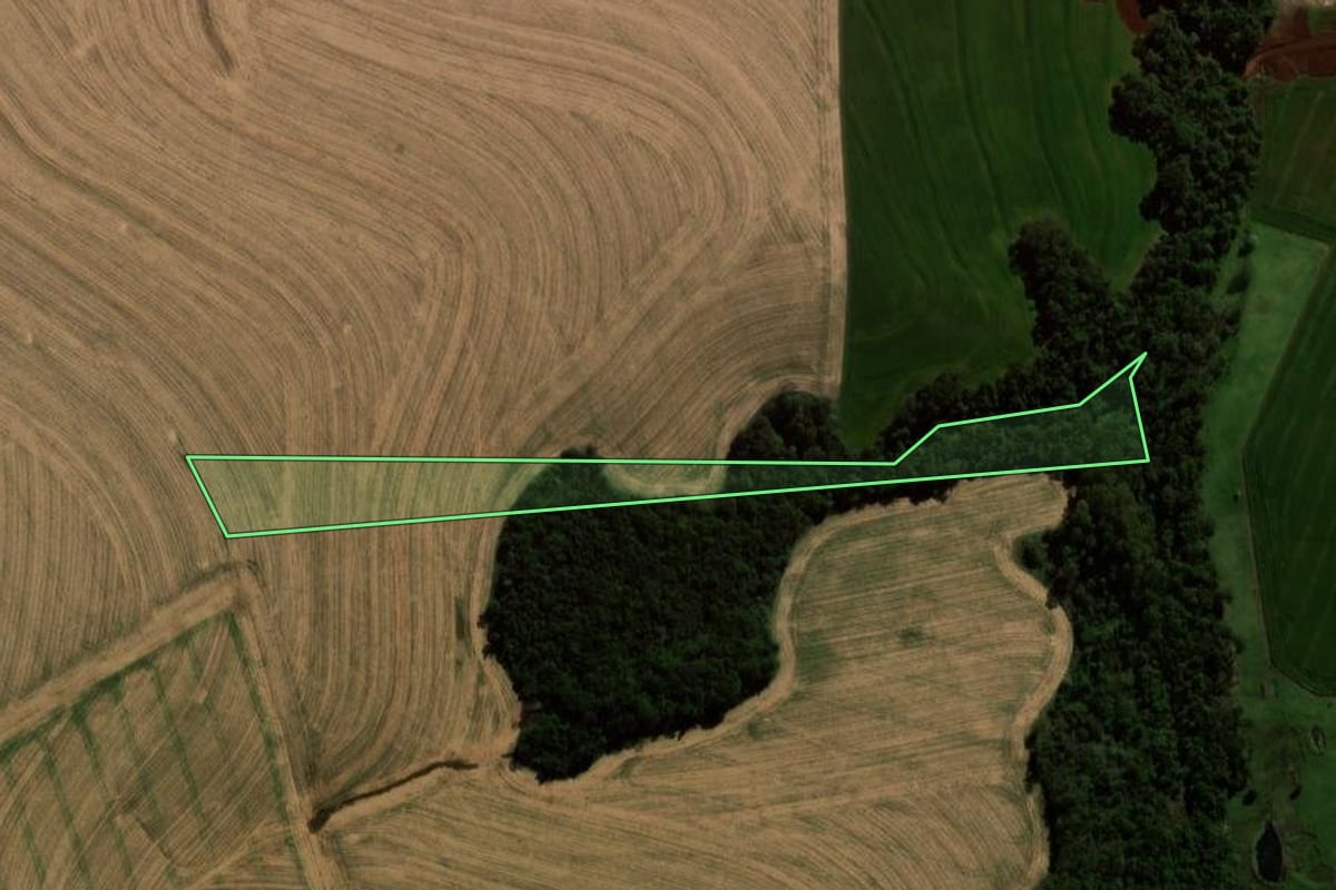 Imagem de satélite do imóvel rural em Braganey (PR), com o contorno declarado no CAR desenhado por cima.