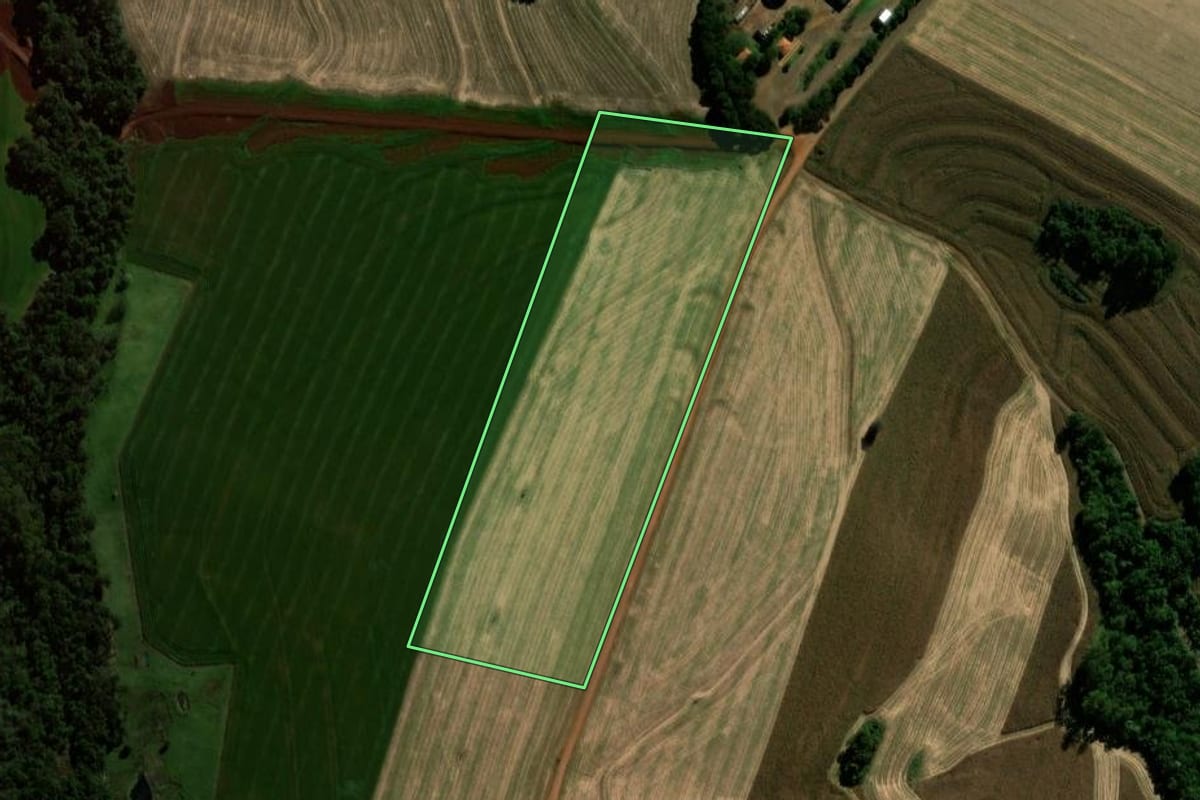 Imagem de satélite do imóvel rural em Braganey (PR), com o contorno declarado no CAR desenhado por cima.