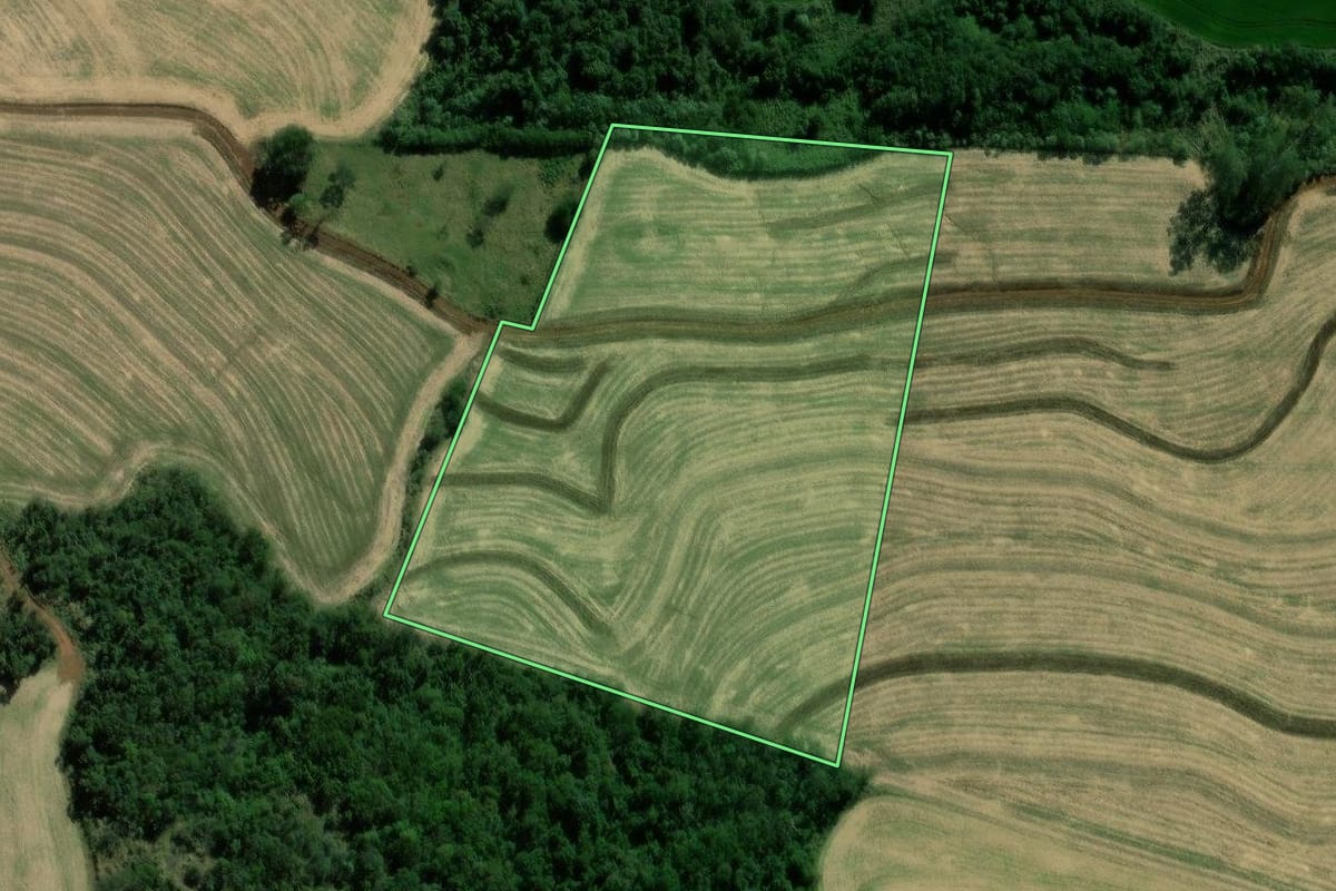 Imagem de satélite do imóvel rural em Braganey (PR), com o contorno declarado no CAR desenhado por cima.