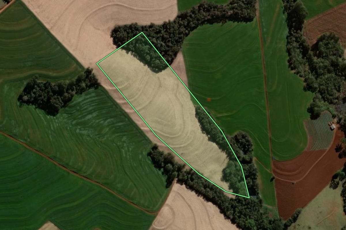 Imagem de satélite do imóvel rural em Braganey (PR), com o contorno declarado no CAR desenhado por cima.