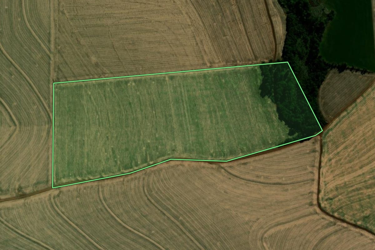 Imagem de satélite do imóvel rural em Braganey (PR), com o contorno declarado no CAR desenhado por cima.