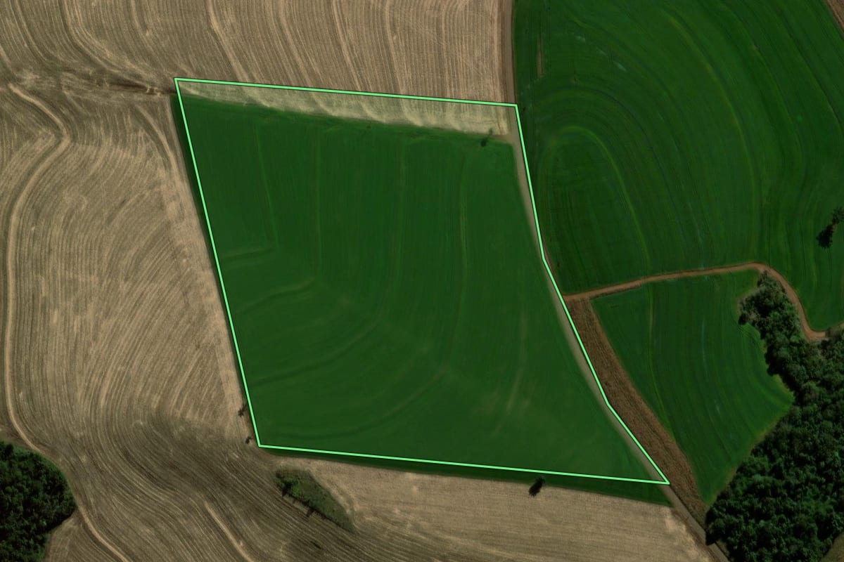 Imagem de satélite do imóvel rural em Braganey (PR), com o contorno declarado no CAR desenhado por cima.