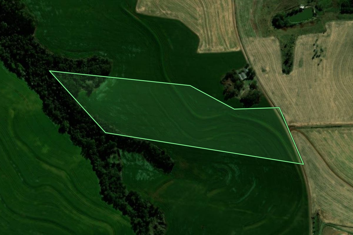 Imagem de satélite do imóvel rural em Braganey (PR), com o contorno declarado no CAR desenhado por cima.