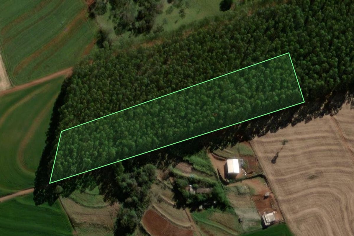 Imagem de satélite do imóvel rural em Braganey (PR), com o contorno declarado no CAR desenhado por cima.