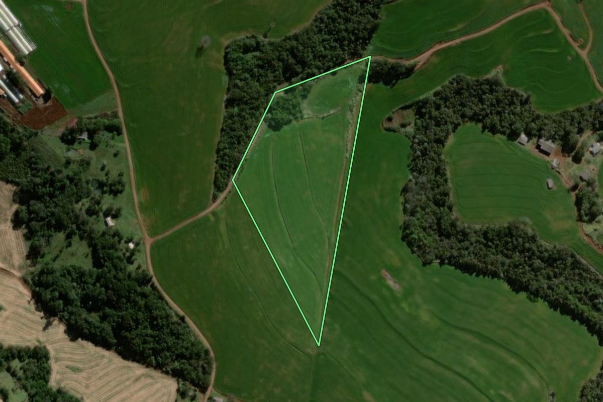 Imagem de satélite do imóvel rural em Braganey (PR), com o contorno declarado no CAR desenhado por cima.