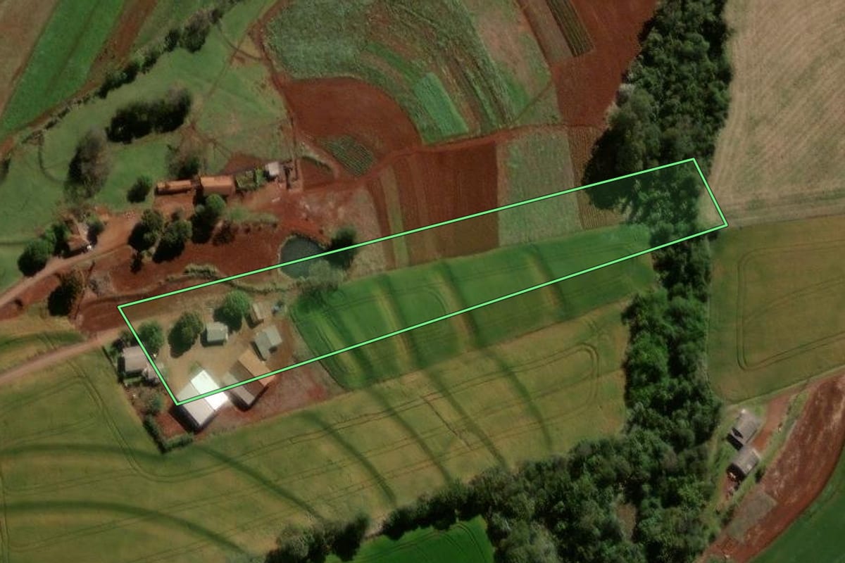 Imagem de satélite do imóvel rural em Braganey (PR), com o contorno declarado no CAR desenhado por cima.