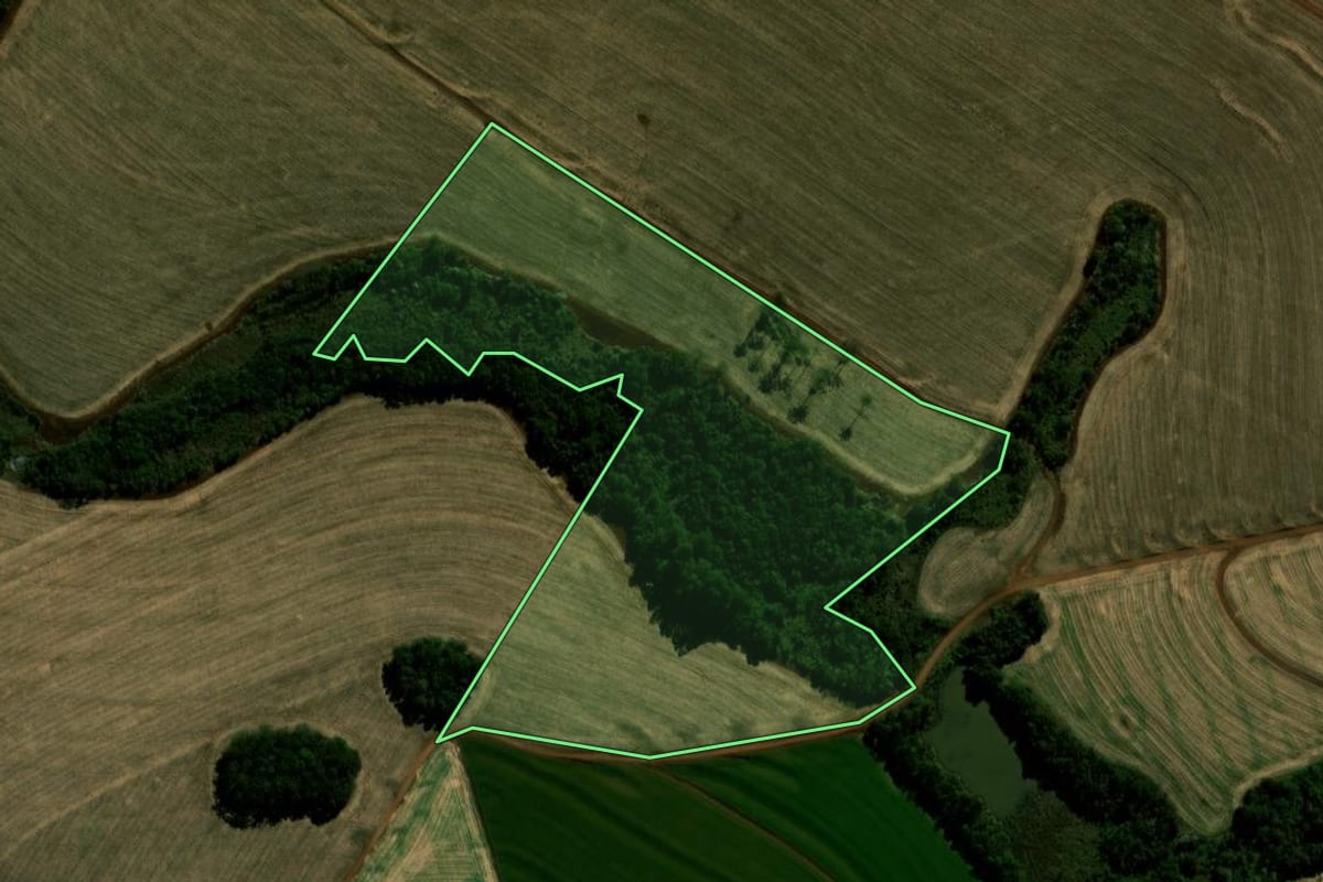 Imagem de satélite do imóvel rural em Braganey (PR), com o contorno declarado no CAR desenhado por cima.