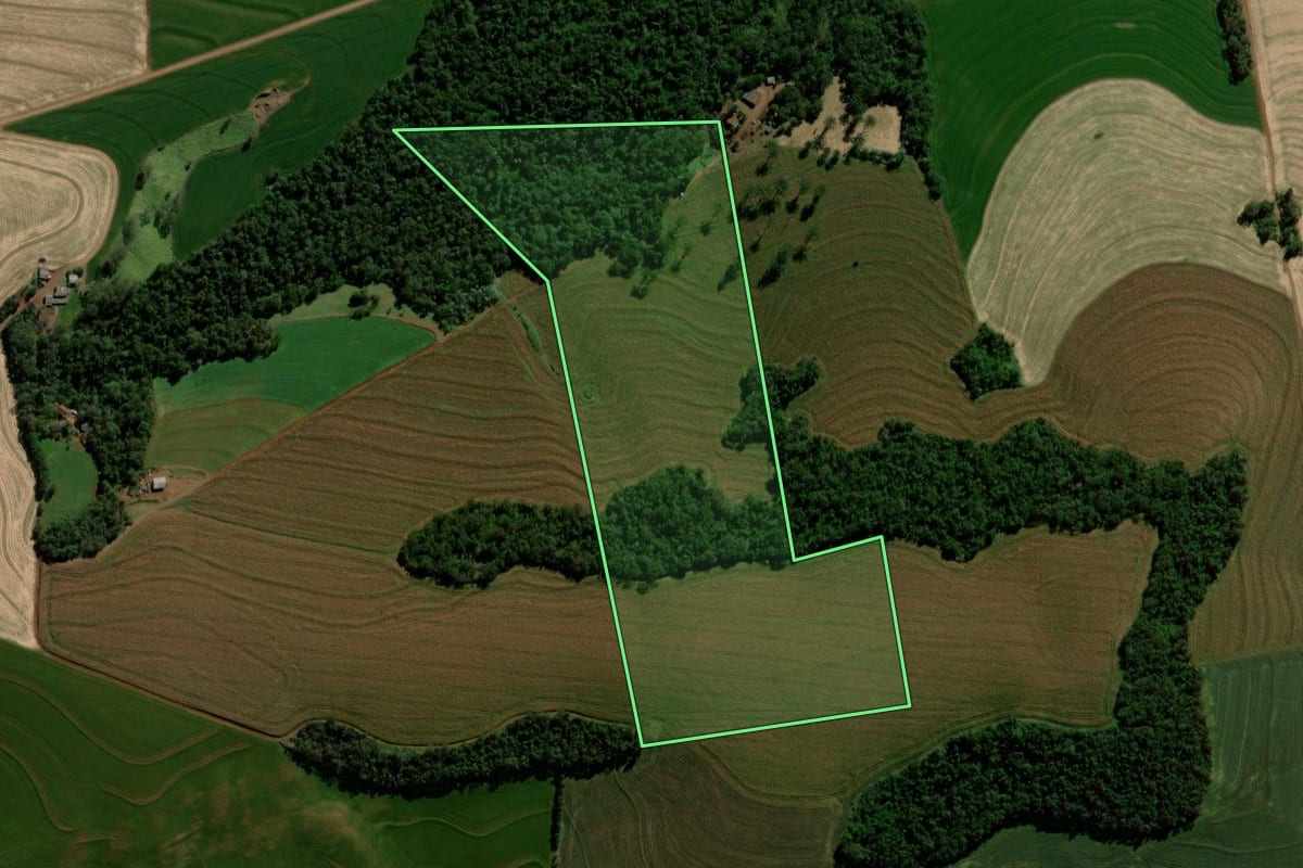 Imagem de satélite do imóvel rural em Braganey (PR), com o contorno declarado no CAR desenhado por cima.