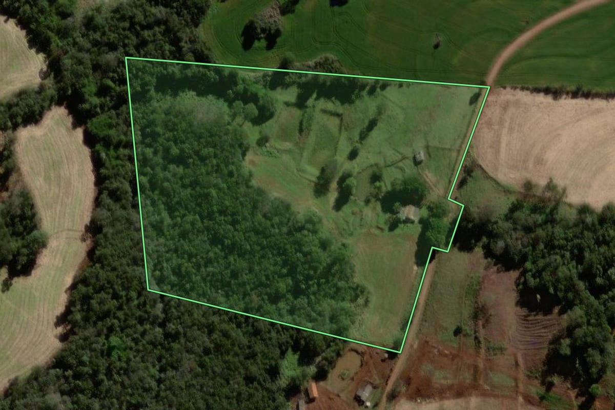 Imagem de satélite do imóvel rural em Braganey (PR), com o contorno declarado no CAR desenhado por cima.