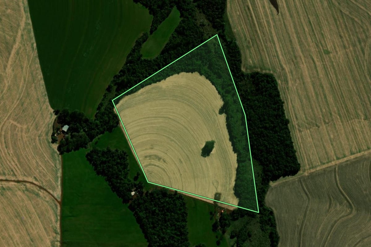 Imagem de satélite do imóvel rural em Braganey (PR), com o contorno declarado no CAR desenhado por cima.