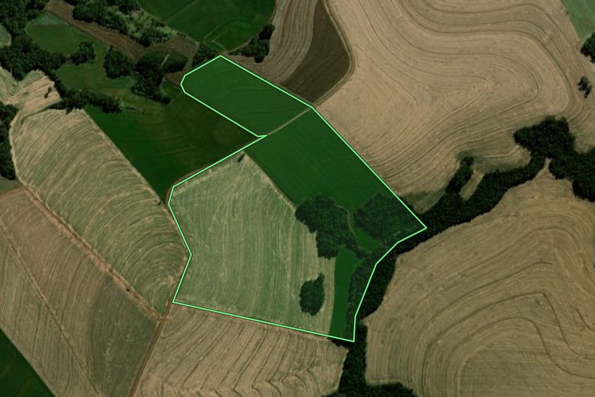 Imagem de satélite do imóvel rural em Braganey (PR), com o contorno declarado no CAR desenhado por cima.