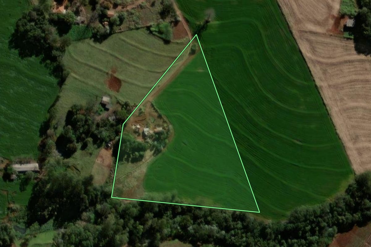 Imagem de satélite do imóvel rural em Braganey (PR), com o contorno declarado no CAR desenhado por cima.