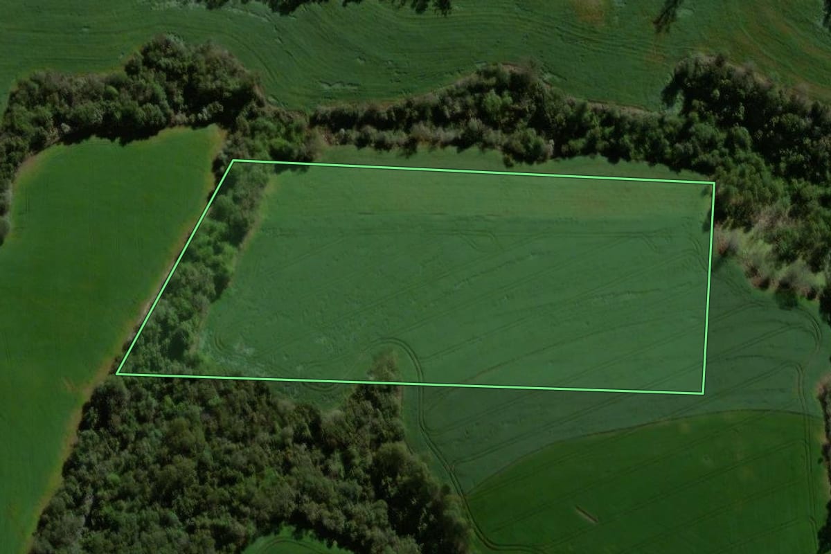 Imagem de satélite do imóvel rural em Braganey (PR), com o contorno declarado no CAR desenhado por cima.