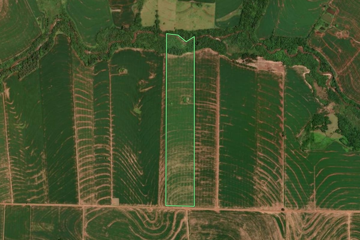 Imagem de satélite do imóvel rural em Brasilândia do Sul (PR), com o contorno declarado no CAR desenhado por cima.