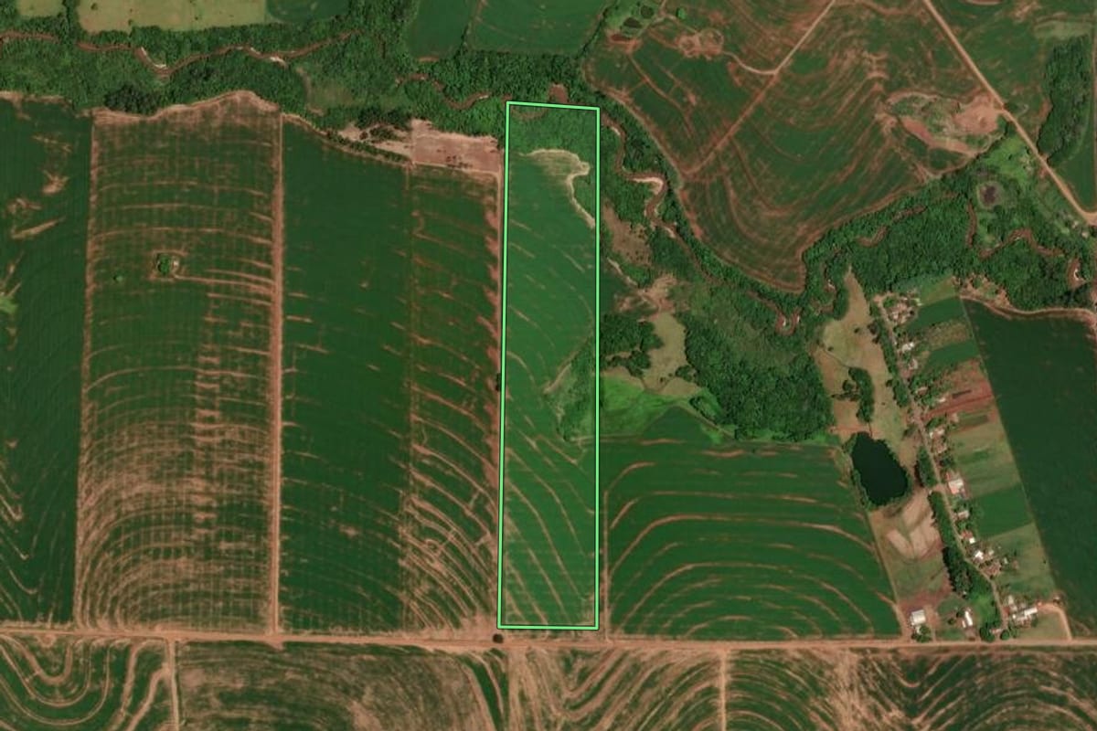 Imagem de satélite do imóvel rural em Brasilândia do Sul (PR), com o contorno declarado no CAR desenhado por cima.