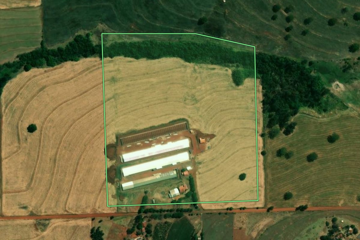 Imagem de satélite do imóvel rural em Cafeara (PR), com o contorno declarado no CAR desenhado por cima.