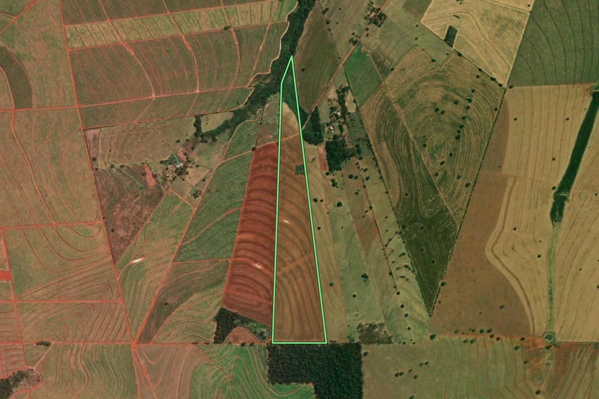 Imagem de satélite do imóvel rural em Cafeara (PR), com o contorno declarado no CAR desenhado por cima.