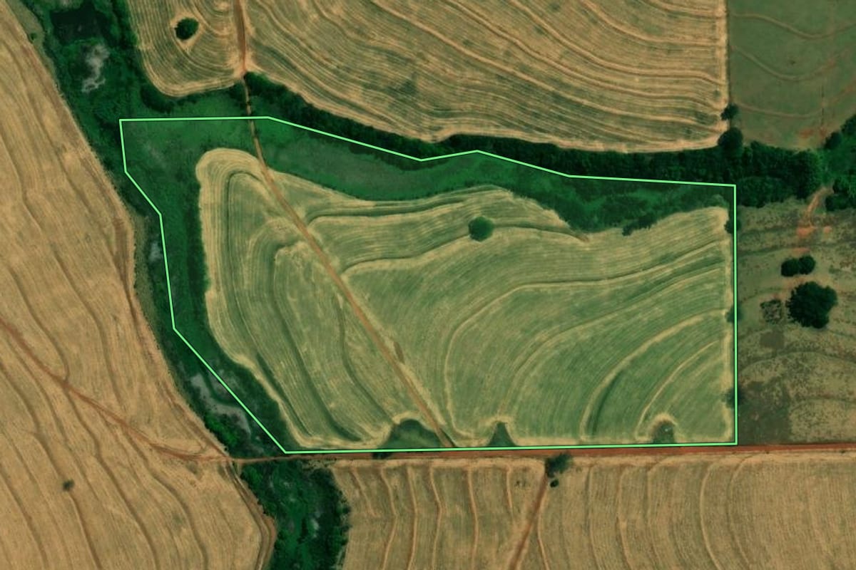 Imagem de satélite do imóvel rural em Cafeara (PR), com o contorno declarado no CAR desenhado por cima.