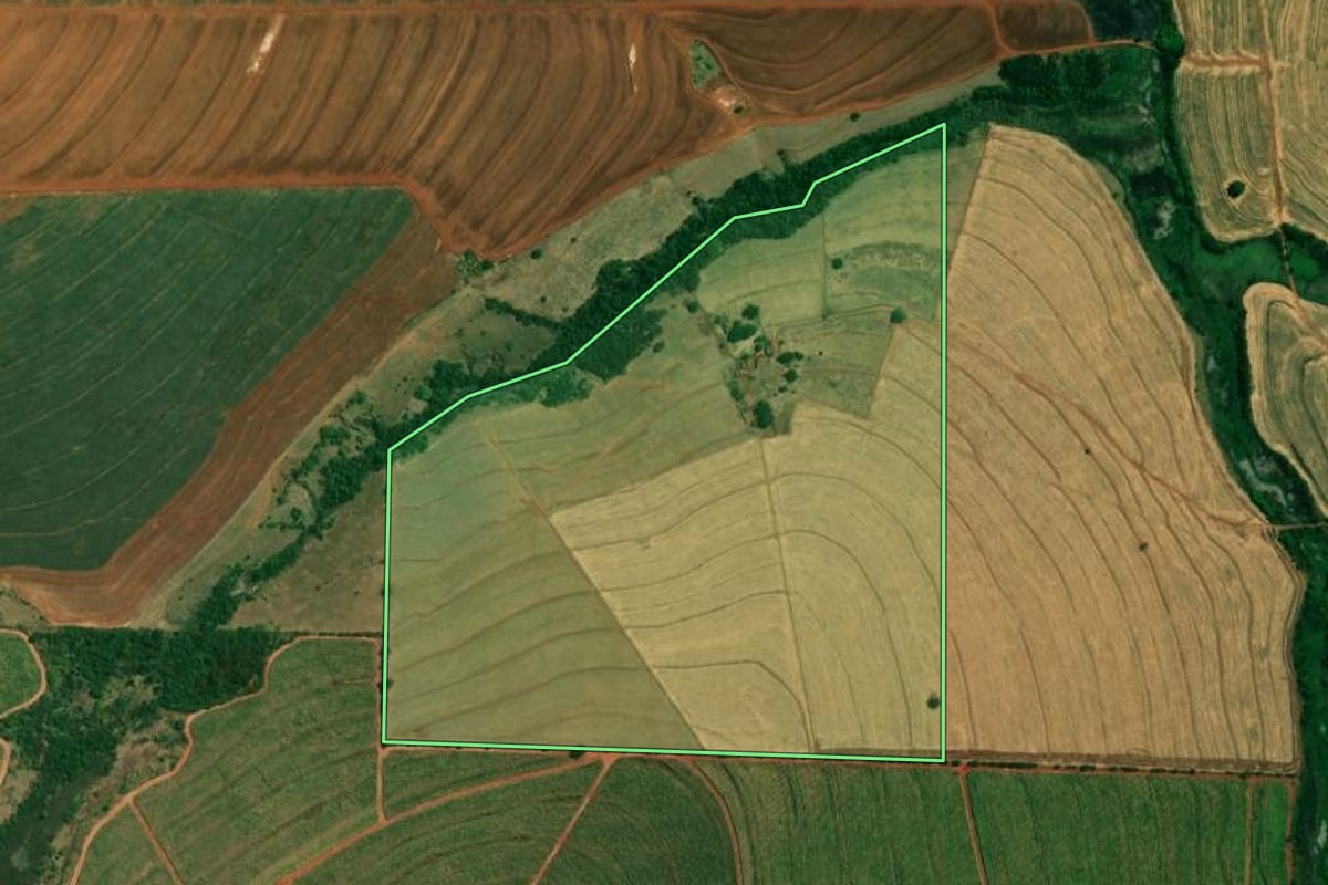 Imagem de satélite do imóvel rural em Cafeara (PR), com o contorno declarado no CAR desenhado por cima.