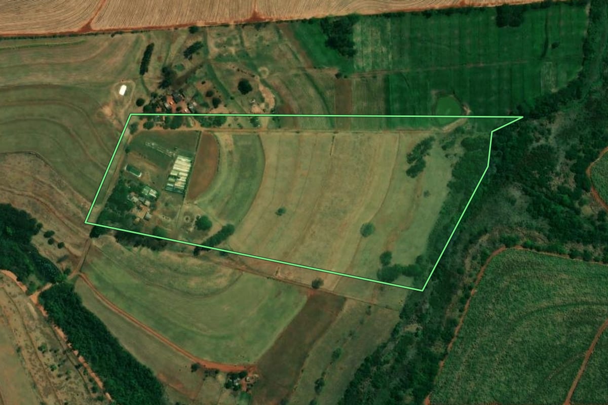 Imagem de satélite do imóvel rural em Cafeara (PR), com o contorno declarado no CAR desenhado por cima.