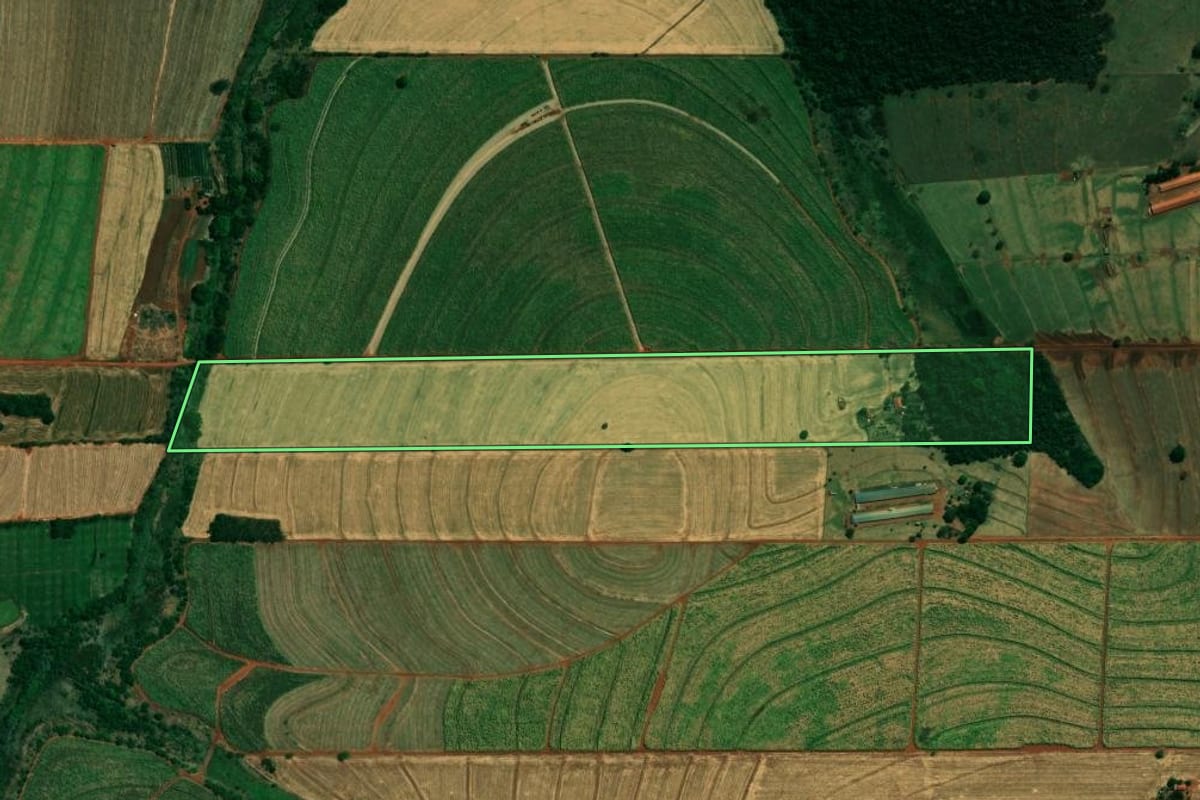 Imagem de satélite do imóvel rural em Cafeara (PR), com o contorno declarado no CAR desenhado por cima.