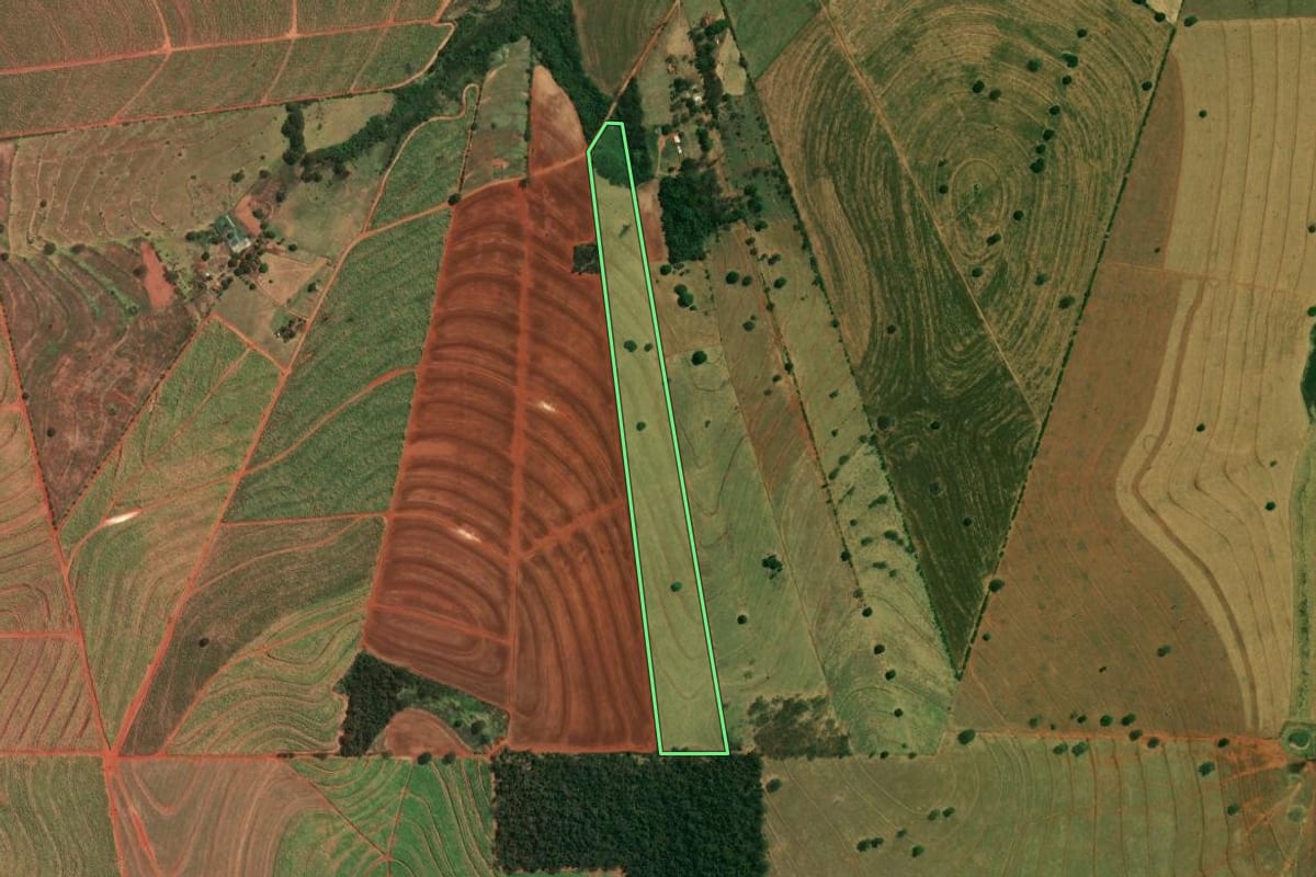 Imagem de satélite do imóvel rural em Cafeara (PR), com o contorno declarado no CAR desenhado por cima.