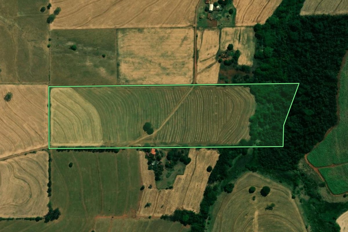Imagem de satélite do imóvel rural em Cafeara (PR), com o contorno declarado no CAR desenhado por cima.