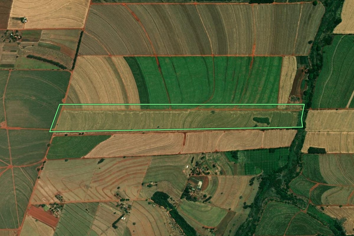 Imagem de satélite do imóvel rural em Cafeara (PR), com o contorno declarado no CAR desenhado por cima.