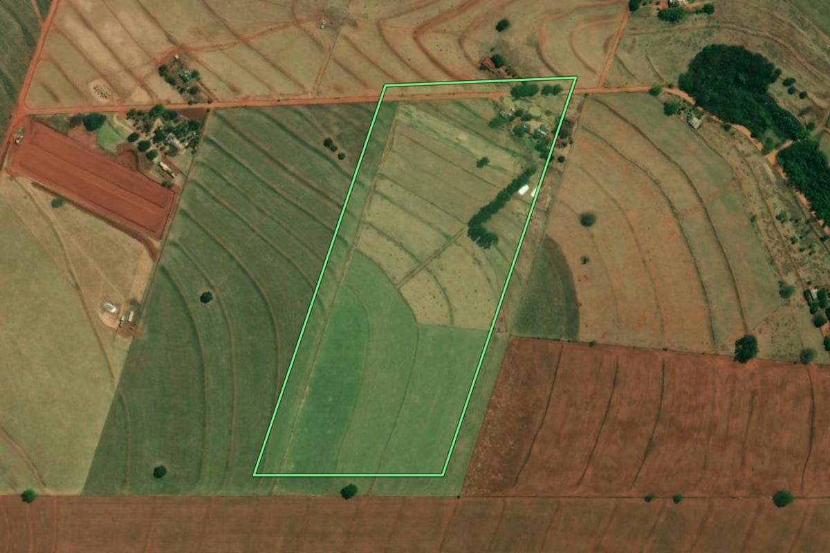 Imagem de satélite do imóvel rural em Cafeara (PR), com o contorno declarado no CAR desenhado por cima.