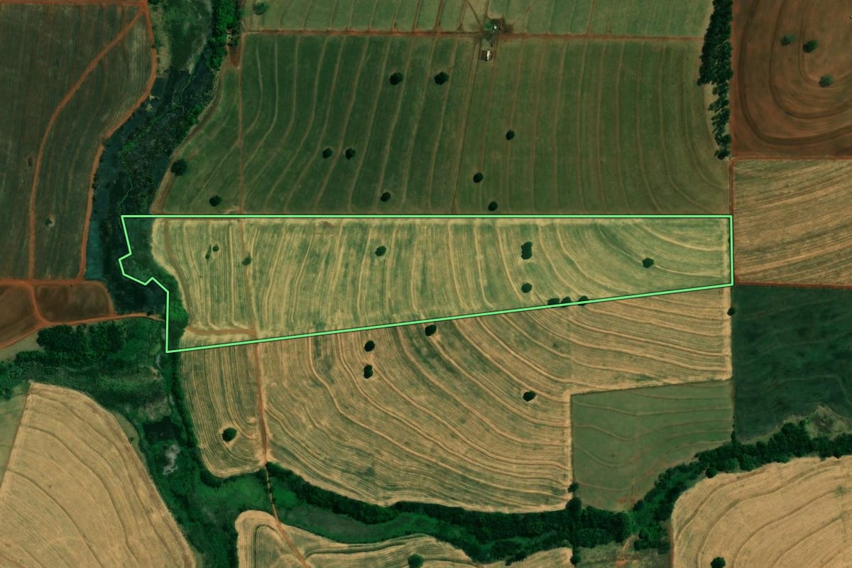 Imagem de satélite do imóvel rural em Cafeara (PR), com o contorno declarado no CAR desenhado por cima.