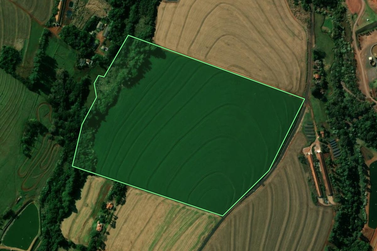 Imagem de satélite do imóvel rural em Cafelândia (PR), com o contorno declarado no CAR desenhado por cima.