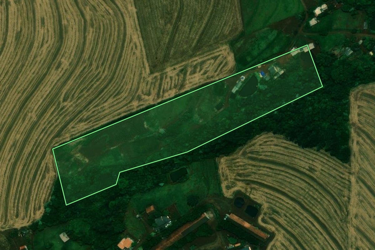 Imagem de satélite do imóvel rural em Cafelândia (PR), com o contorno declarado no CAR desenhado por cima.