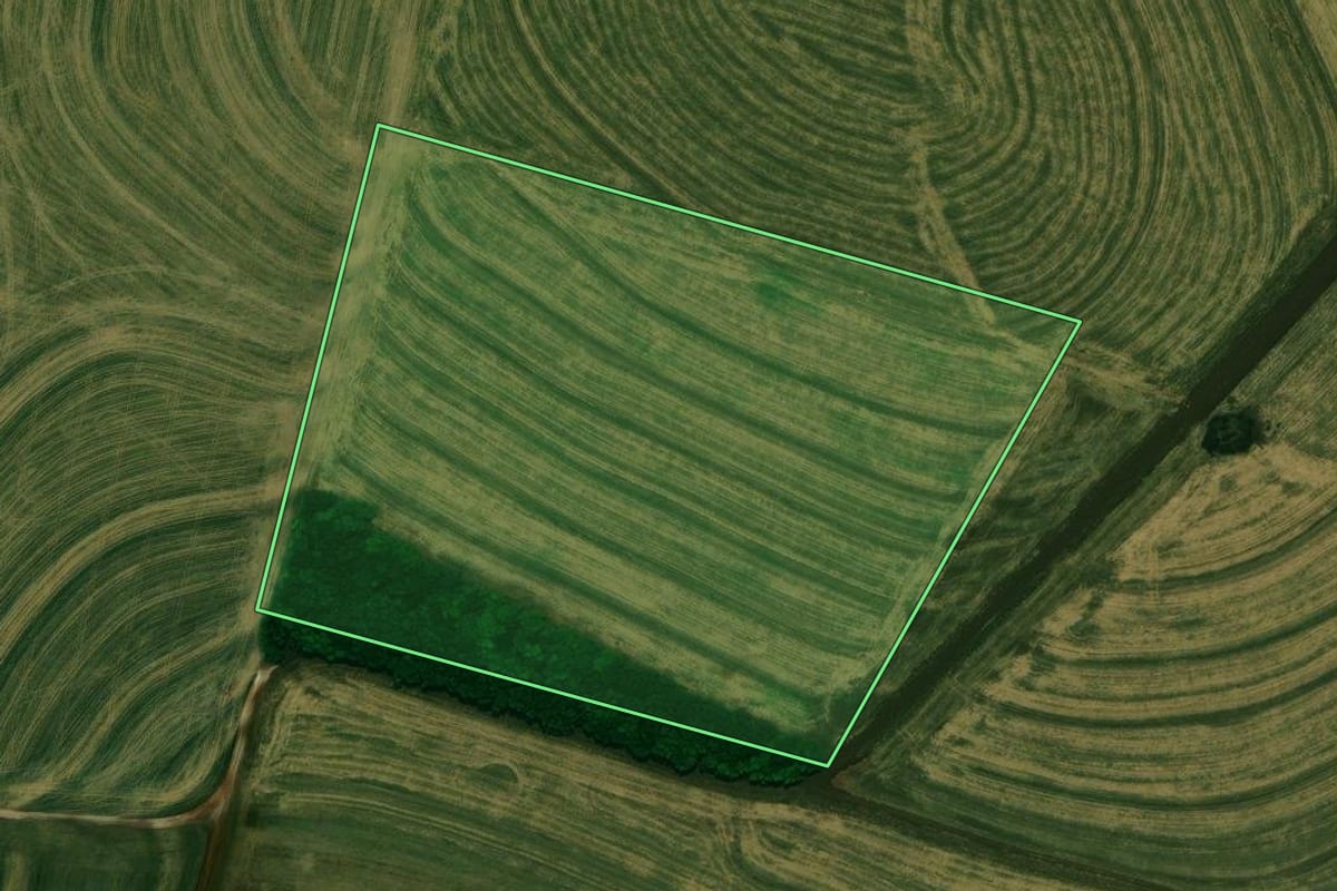 Imagem de satélite do imóvel rural em Cafelândia (PR), com o contorno declarado no CAR desenhado por cima.